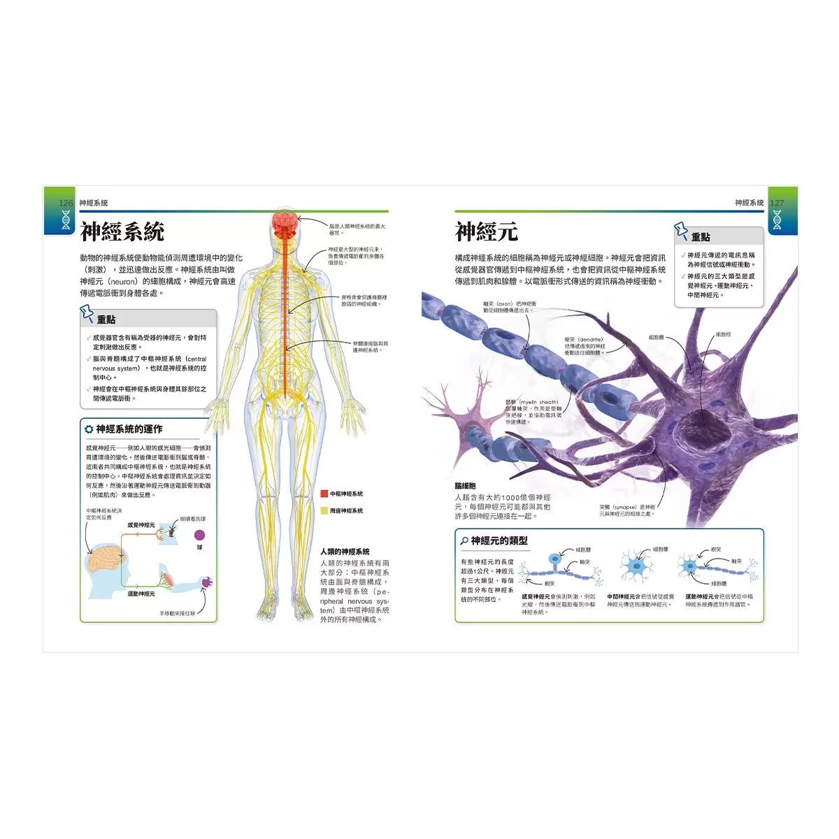 超簡單生物課：自然科超高效學習指南