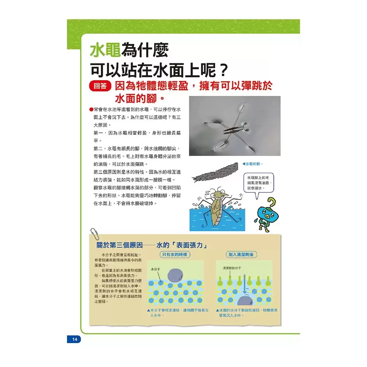 科學真有趣！孩子最想知道的科學疑問200+