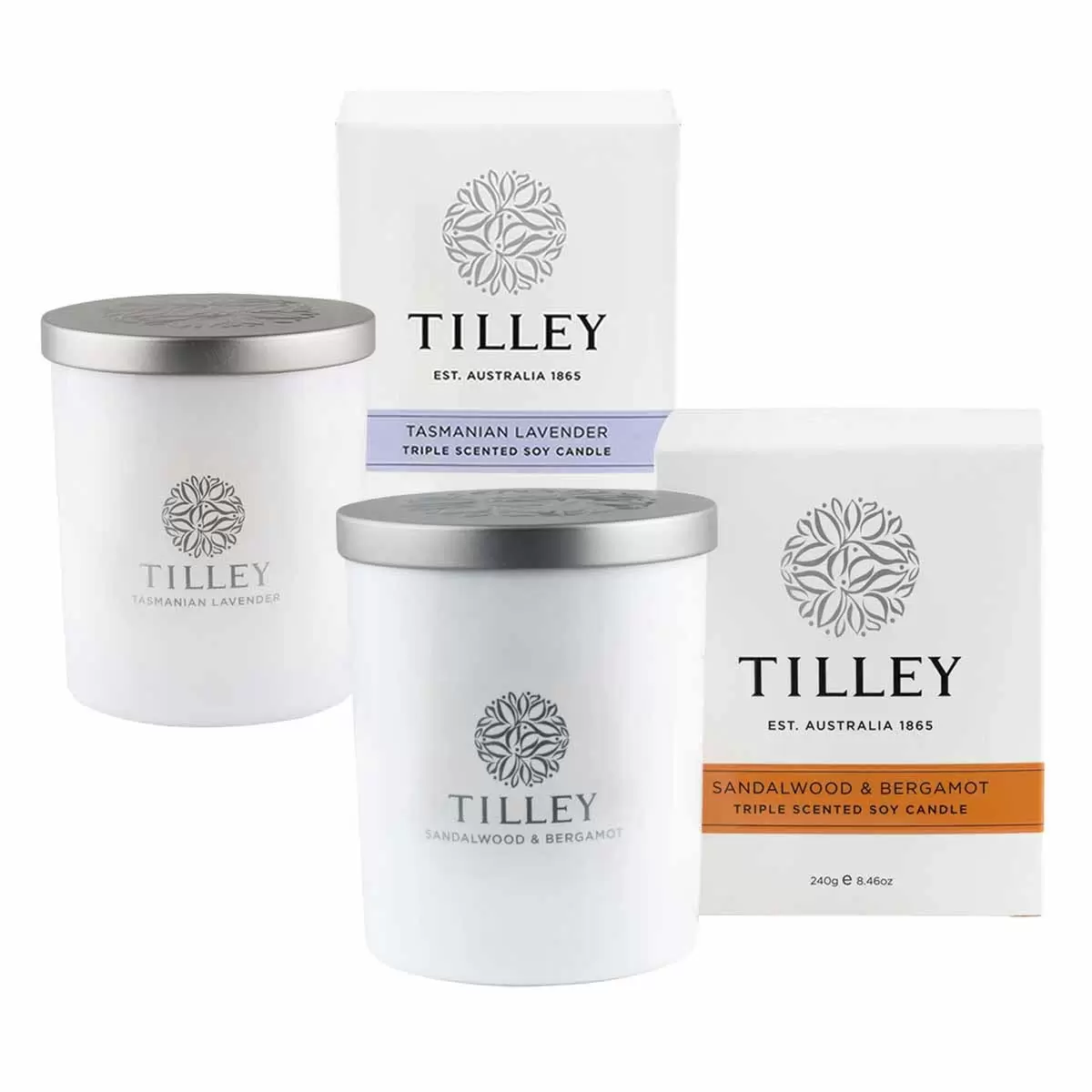 Tilley 微醺大豆香氛蠟燭2入組 塔斯馬尼亞薰衣草 + 檀香與佛手柑