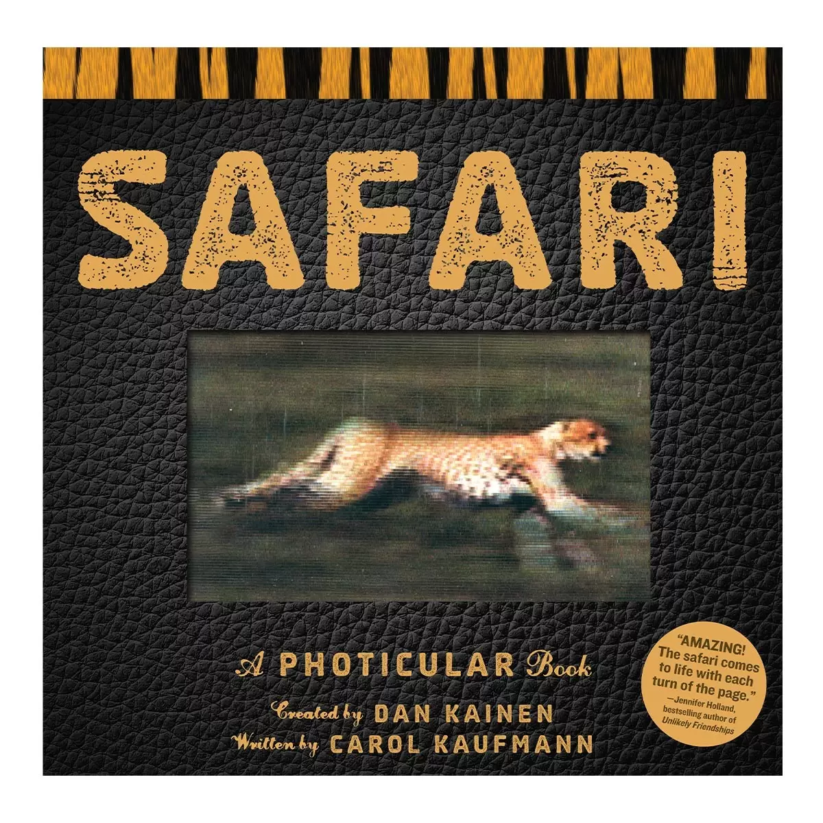 A Photicular Book 外文書 Safari