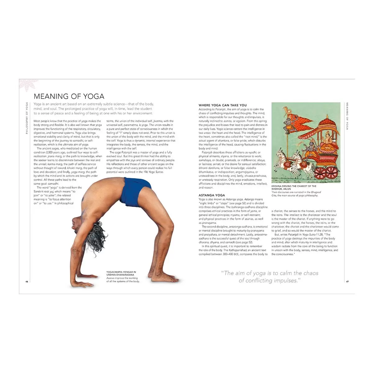 B.K.S. Iyengar Yoga The Path to Holistic Health 外文書