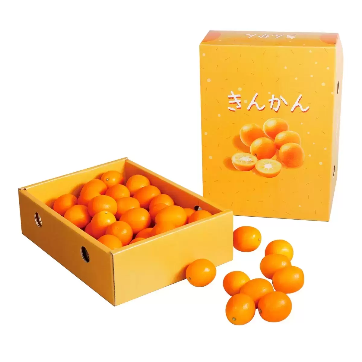 日本鹿兒島金柑禮盒 1公斤