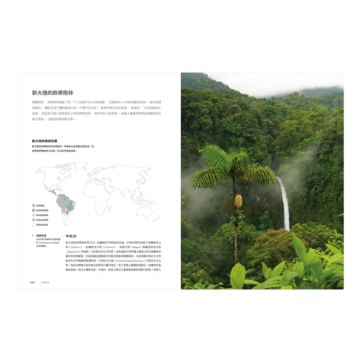 世界森林之書：走進林蔭之下，探索全球樹木、樹種與自然生態
