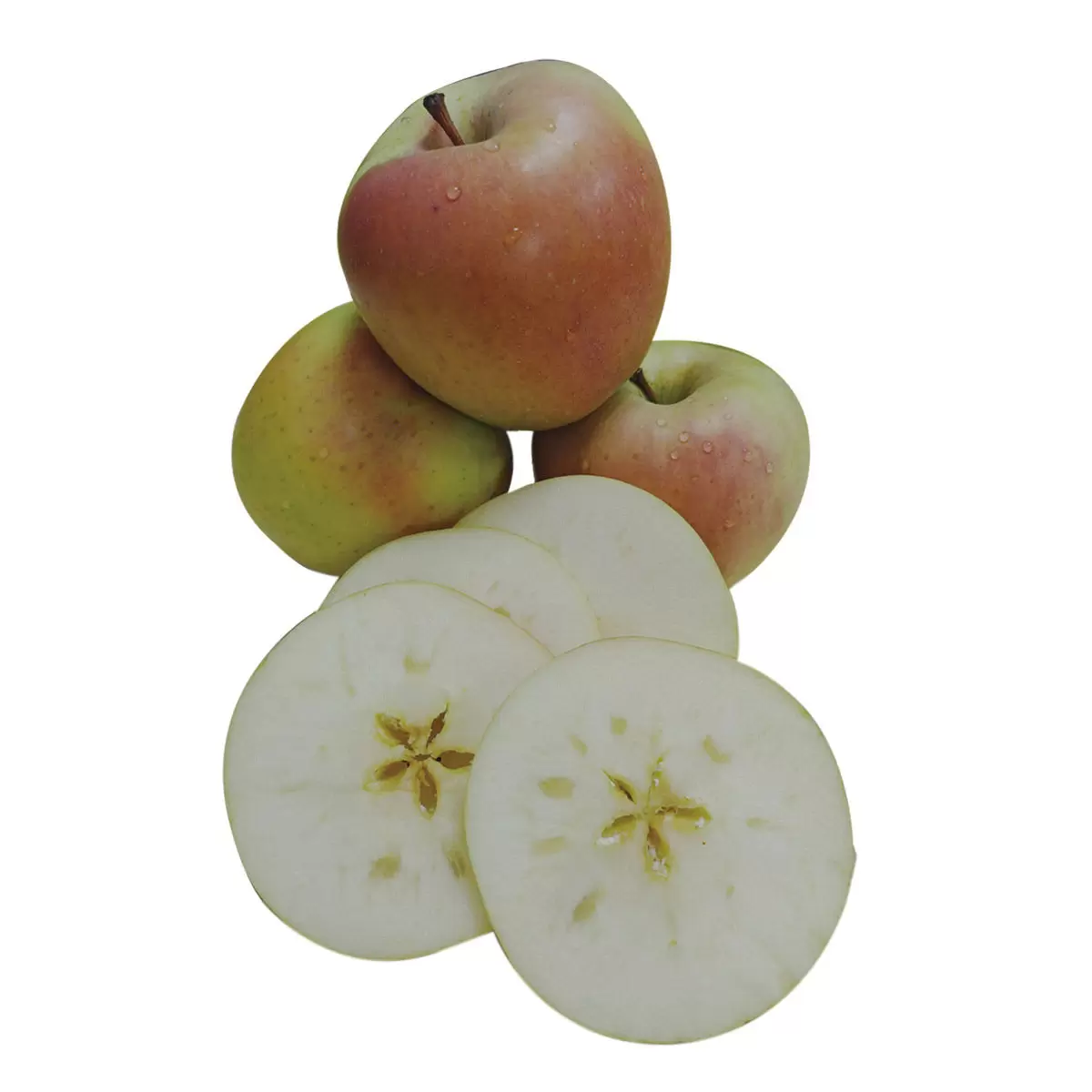 日本青森名月蘋果 10公斤