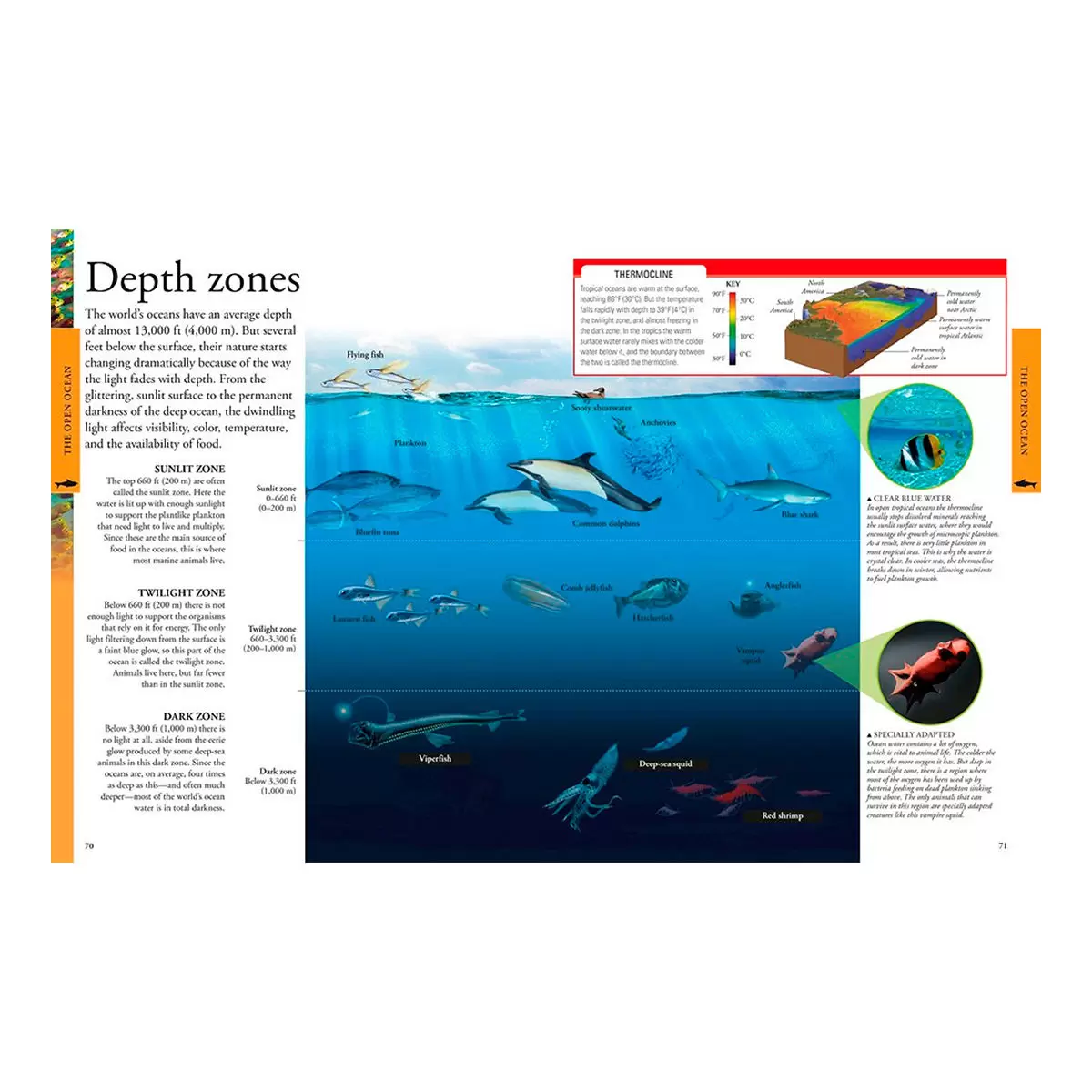 DK Encyclopedia 外文書 Ocean: A Visual Encyclopedia