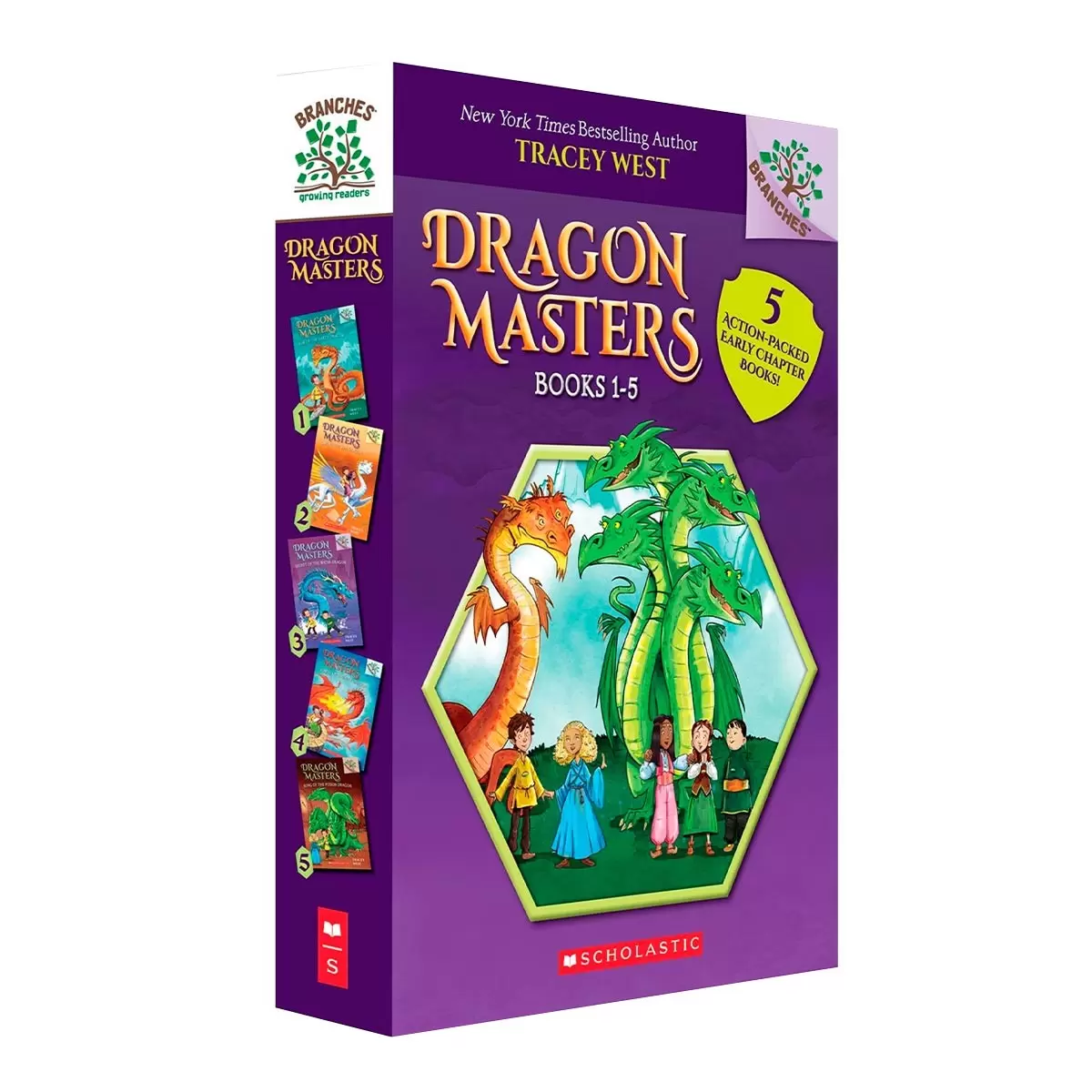Dragon Masters 1-5 外文書