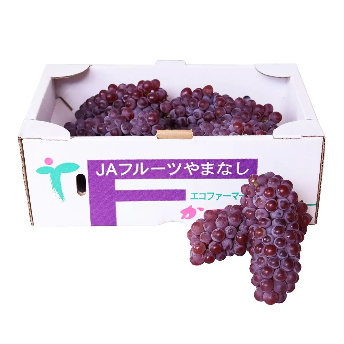 日本山梨無籽珍珠小葡萄禮盒 2公斤