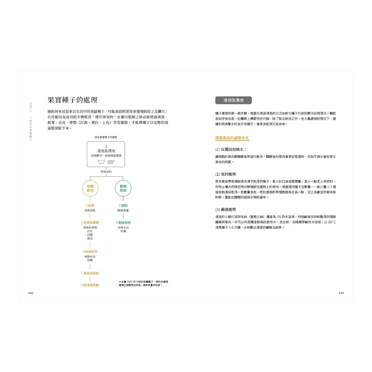 觀賞果實種子大圖鑑：從都會到山區，從草本、藤本到木本，一眼識別 200 種最吸睛的果實種子