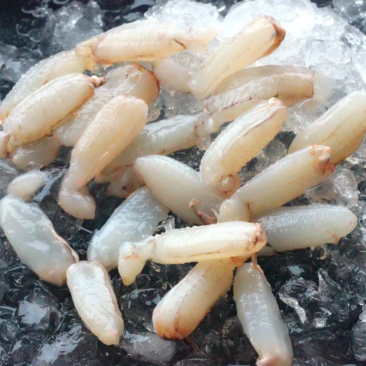 冷凍蟹管肉 600公克