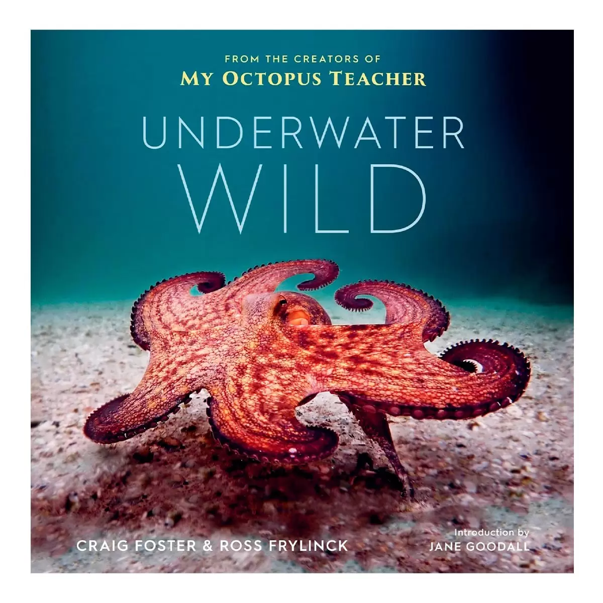 Underwater Wild: My Octopus Teacher's Extraordinary World 外文書