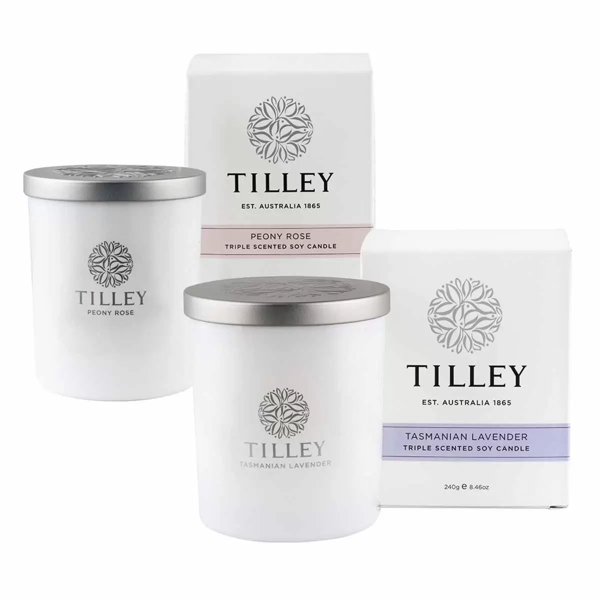 Tilley 微醺大豆香氛蠟燭2入組 塔斯馬尼亞薰衣草 + 牡丹玫瑰
