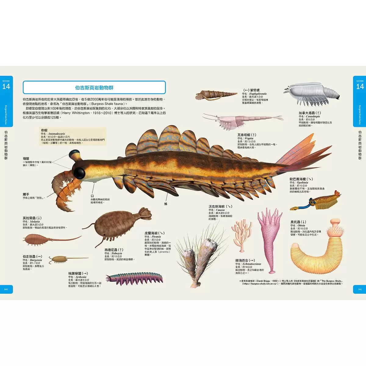 古生物大圖鑑：伽利略科學大圖鑑15