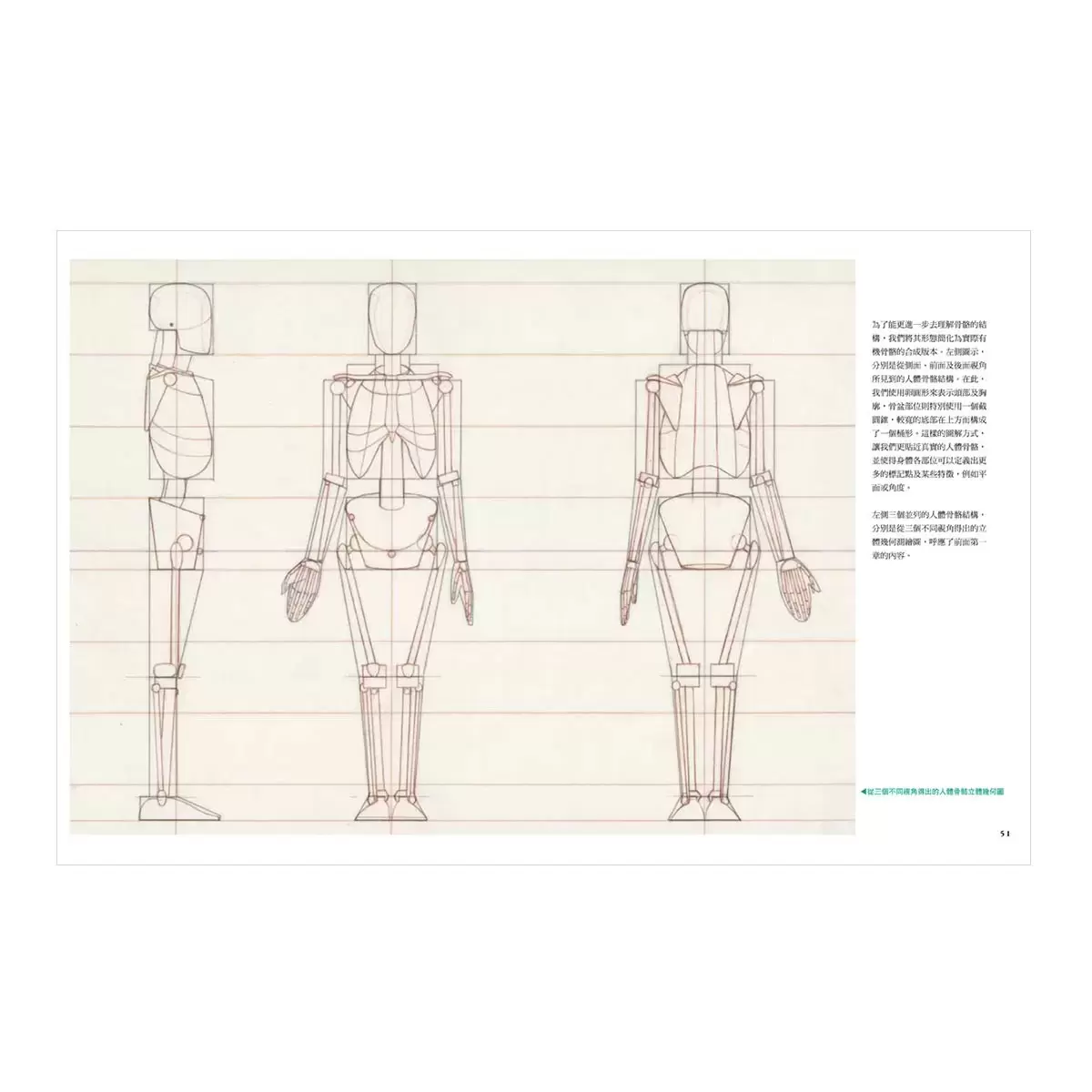 手繪人體解剖全書