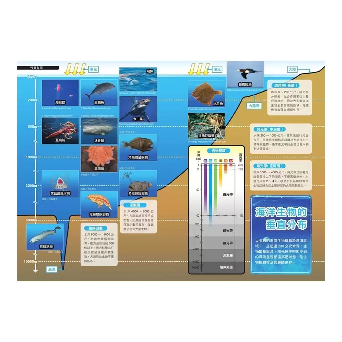 哆啦A夢科學任意門 11-15集