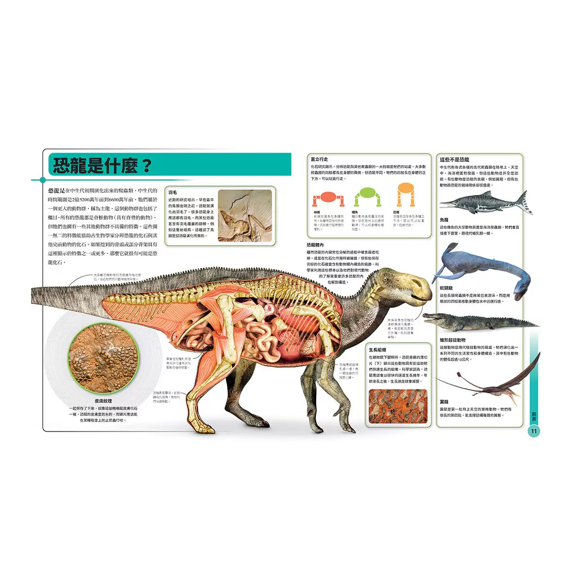 超能力恐龍百科:認識地表最大、最快、最酷的史前動物