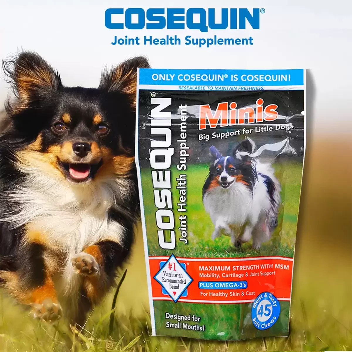 NUTRAMAX 萃麥思 COSEQUIN MINIS 關健適小肉塊 犬用 X 45粒