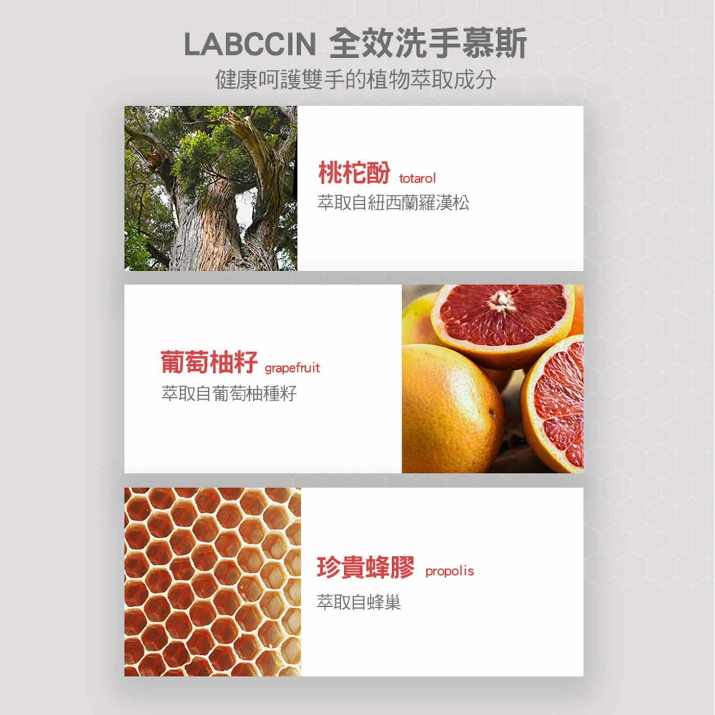 LABCCIN 全效洗手慕斯健康呵護雙手的植物萃取成分葡萄柚籽/珍貴蜂膠