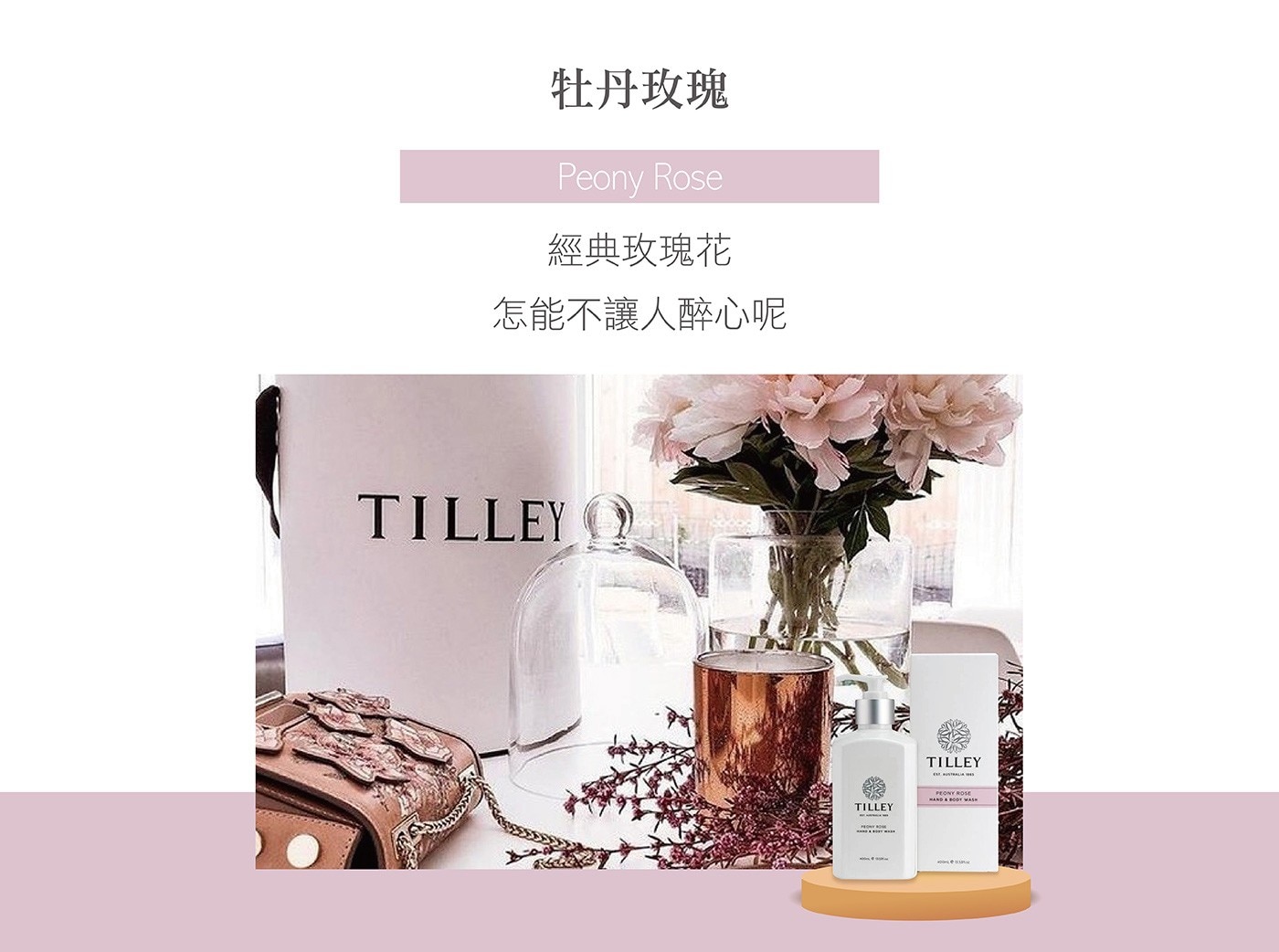 Tilley 身體洗護香氛禮盒，澳洲品牌，英國皇室御用，溫和不刺激，天然亮麗。