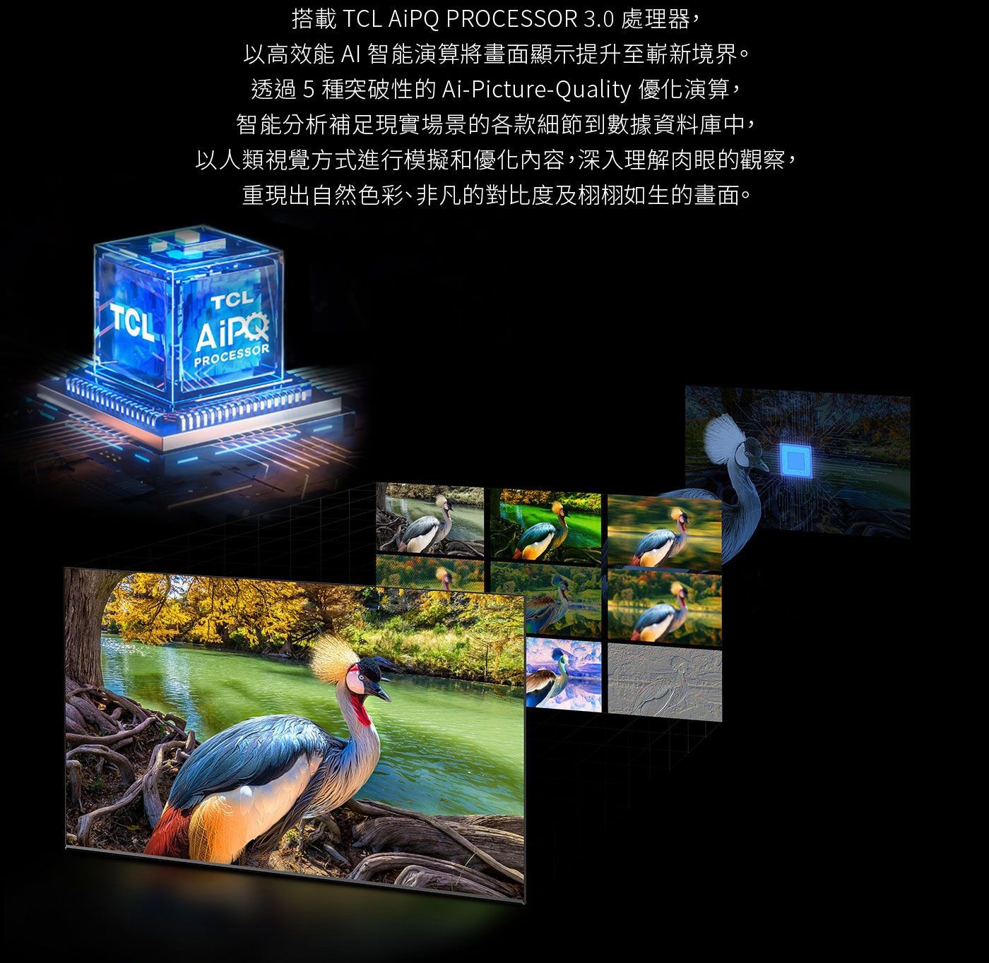 TCL 75吋 4K Mini LED QLED Google TV 量子智能連網液晶顯示器 75C845搭載AiPQ PROCESSOR 3.0高效能 AI 智能演算 重現自然色彩