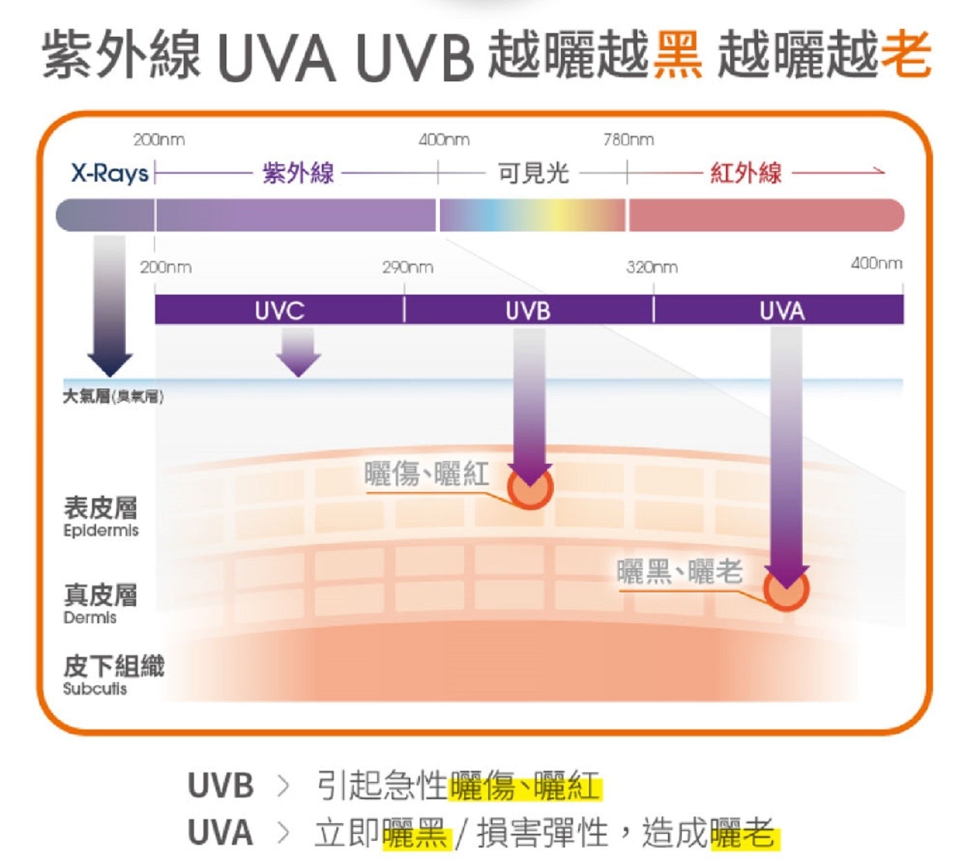 舒特膚 高效防曬凝露 SPF50+ 50毫升 X 2入組