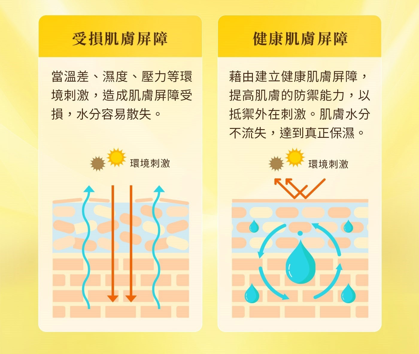 肌研 極潤金緻高效保濕精華凝露 150毫升 X 2入