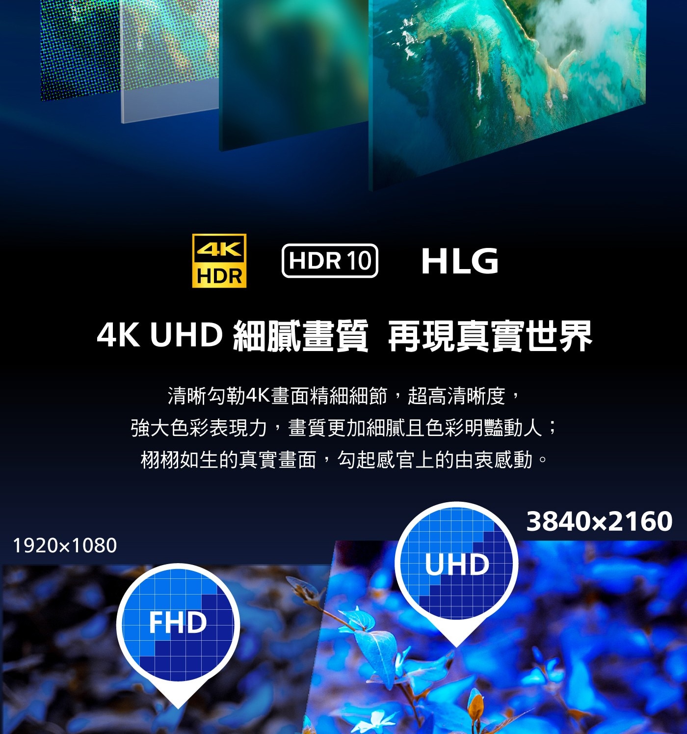 Philips 55吋 4K UHD QLED Google TV 顯示器 55PQT8369