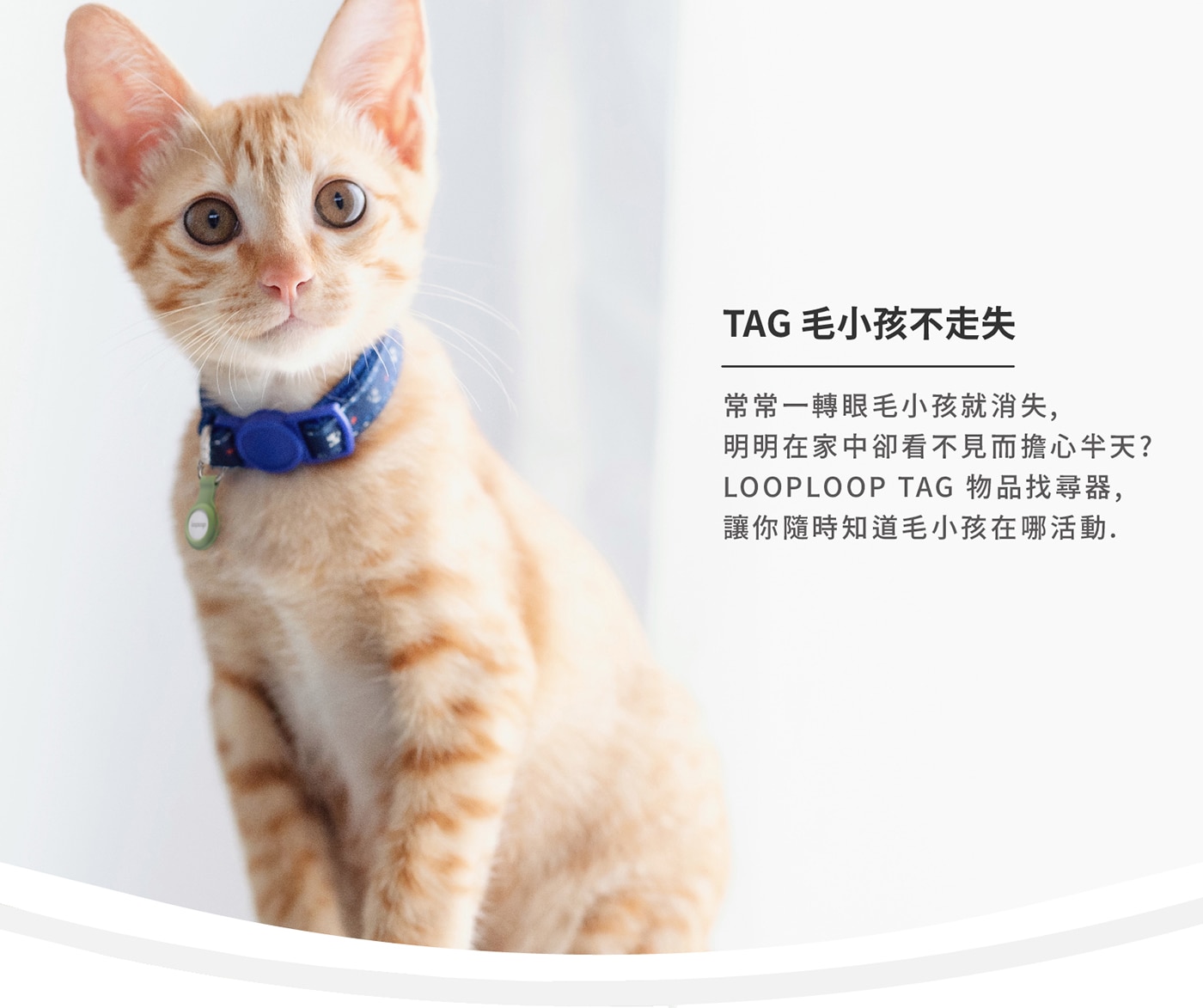 Looploop Tag 物品尋找器 AT-10 含配件組