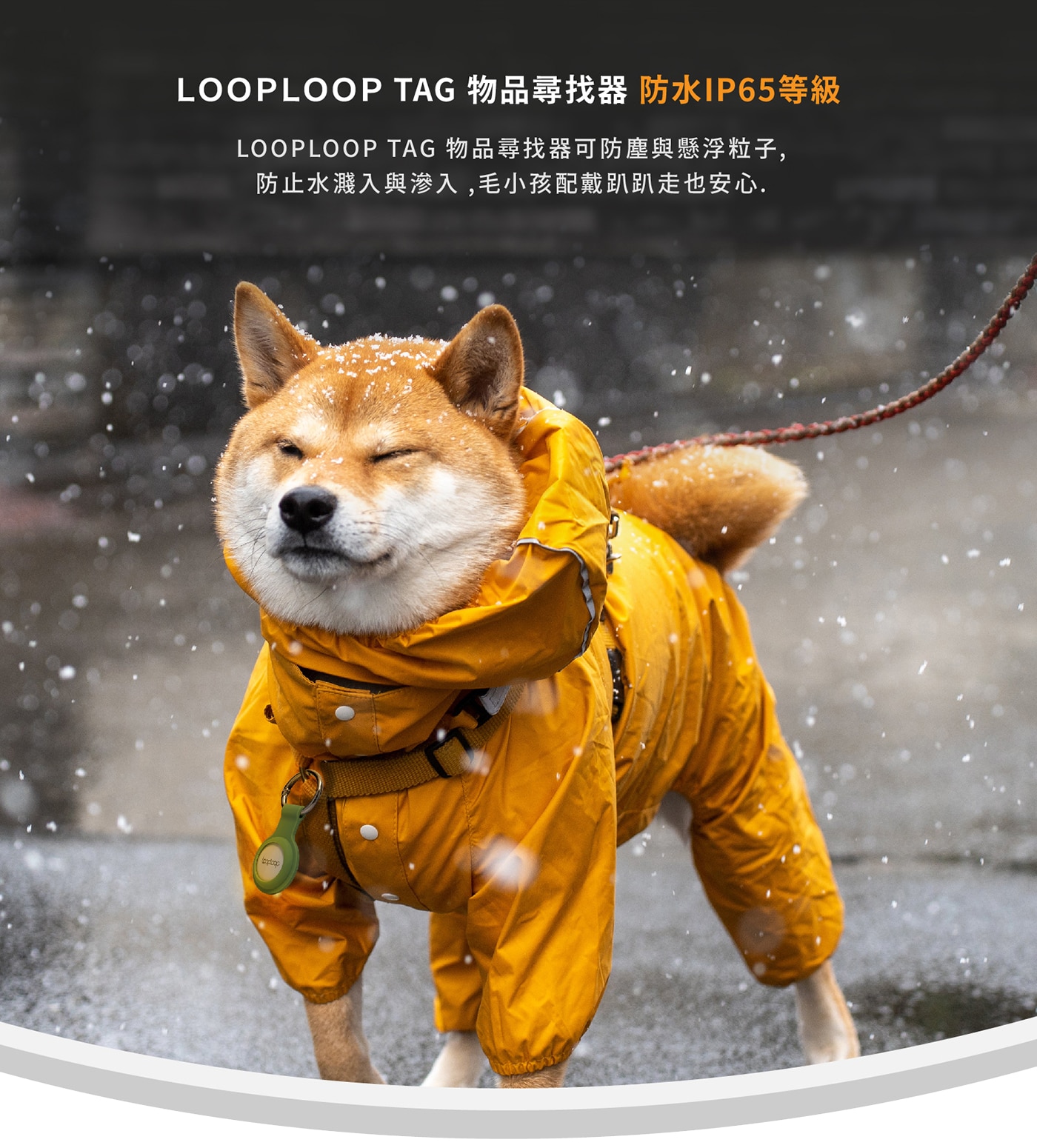 Looploop Tag 物品尋找器 AT-10 含配件組