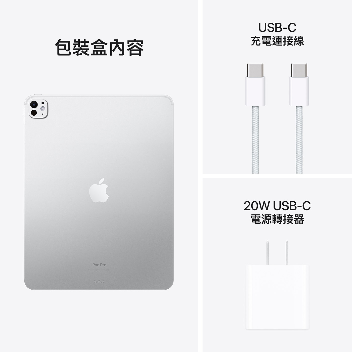 Apple 13 吋 iPad Pro Wi-Fi 256GB 配備標準玻璃 銀