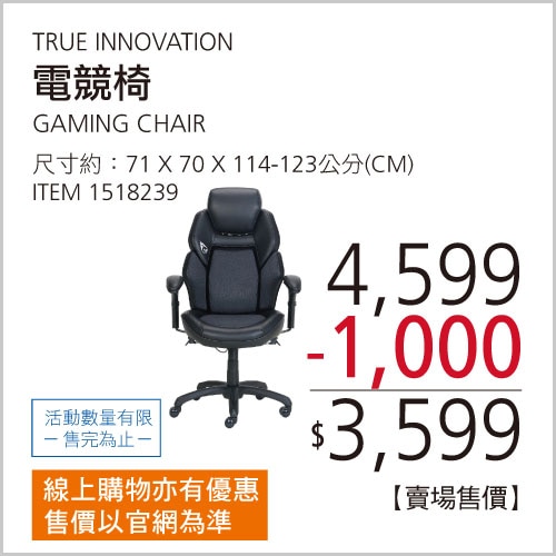 TRUE INNOVATIONS 3D INSIGHT電競椅含可調式頭枕