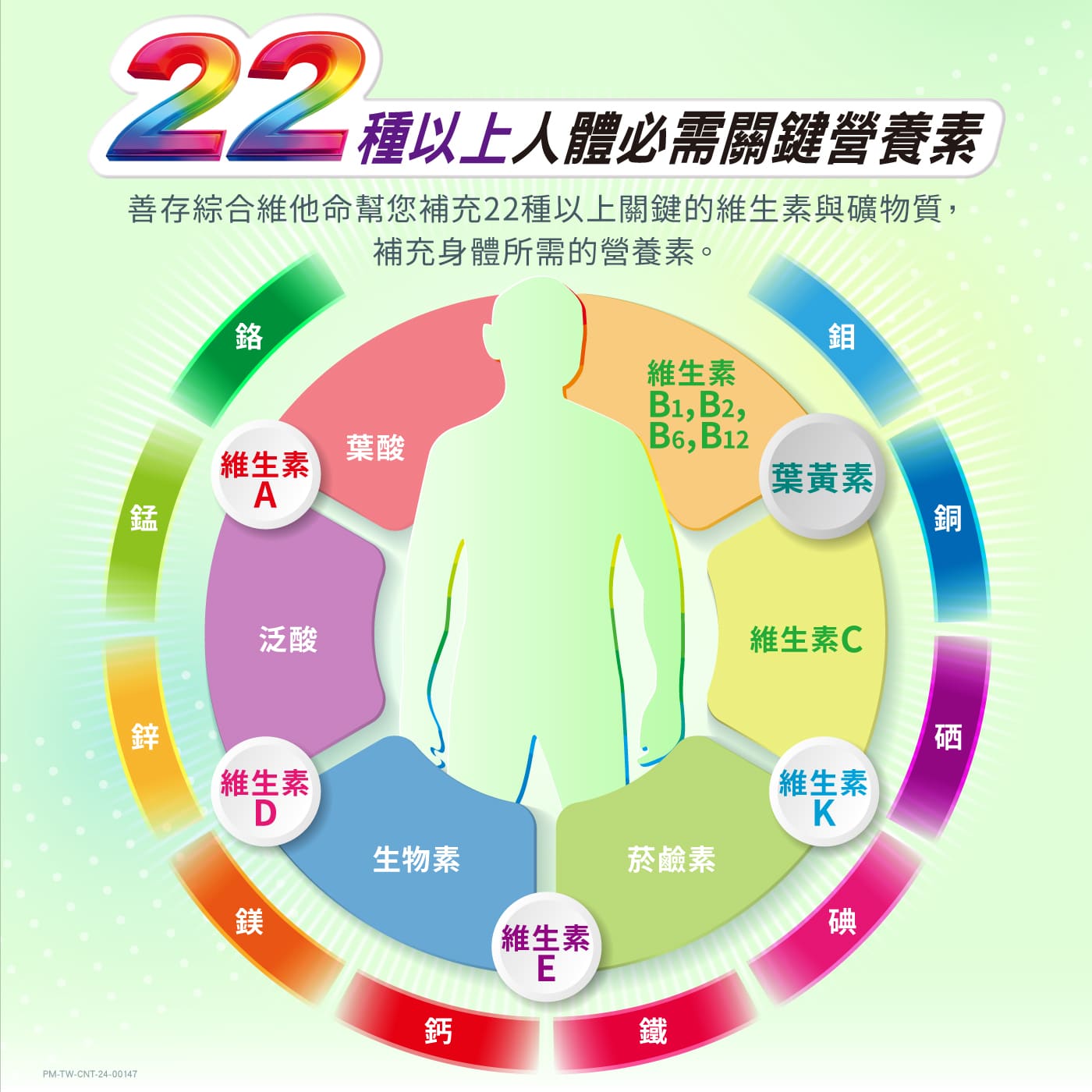 銀寶善存50+ 男性綜合維他命 290錠