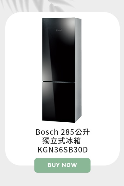 Bosch 285公升獨立式冰箱 KGN36SB30D