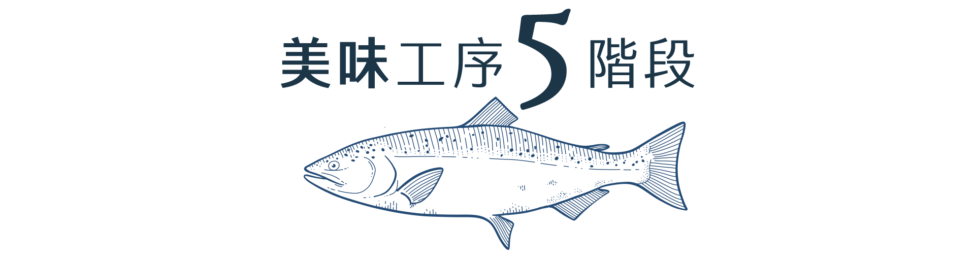 鮭魚進化五階段