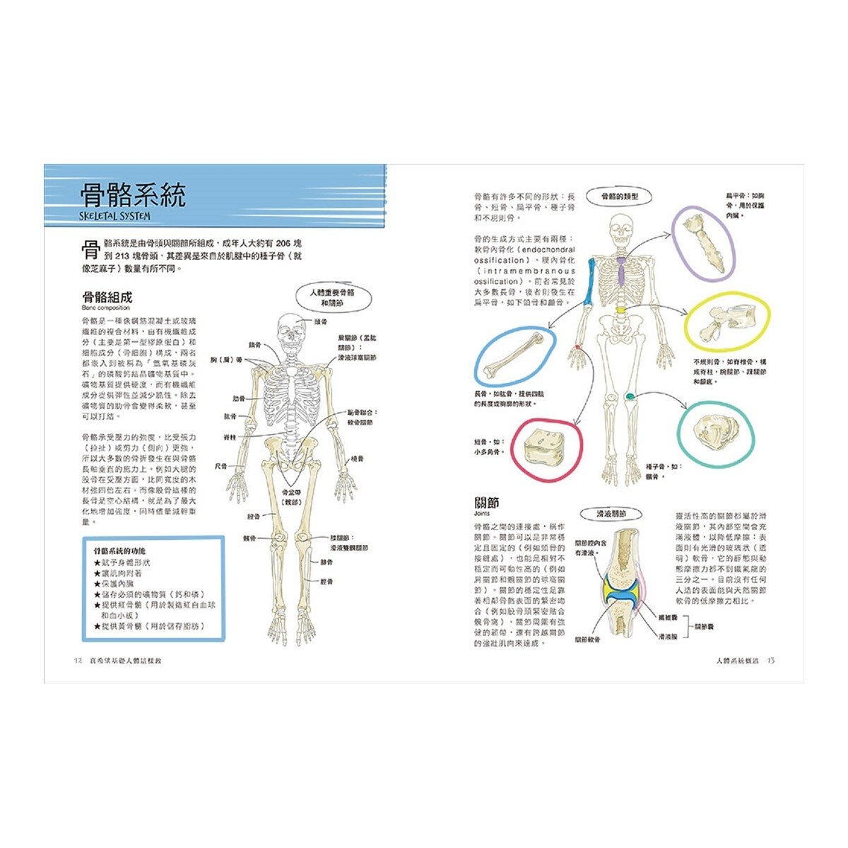 真希望基礎生物這樣教 + 真希望基礎人體這樣教 暢銷修訂版 (共二冊)