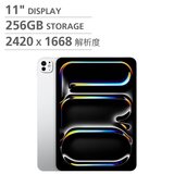 Apple 11 吋 iPad Pro Wi-Fi 256GB 配備標準玻璃 銀