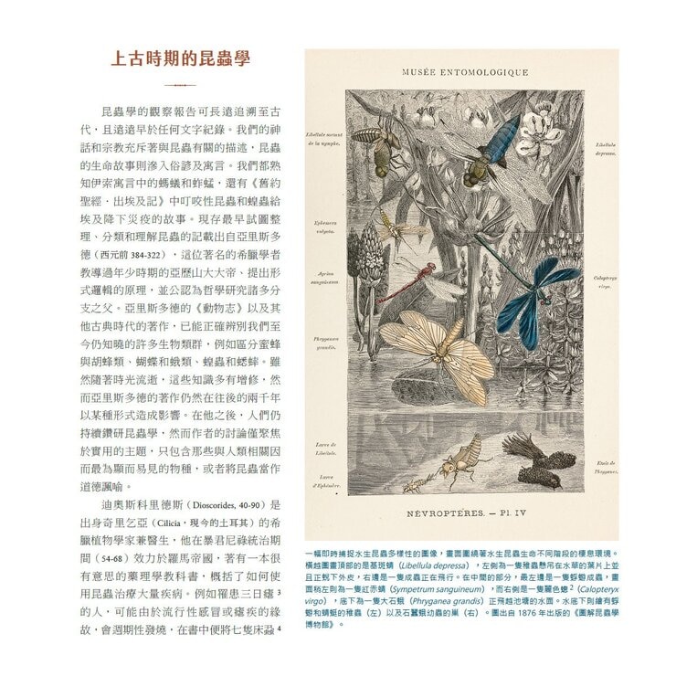 蟲之道:昆蟲的構造、行為和習性訴說的生命史詩 蟲之道:昆蟲的構造、行為和習性訴說的生命史詩