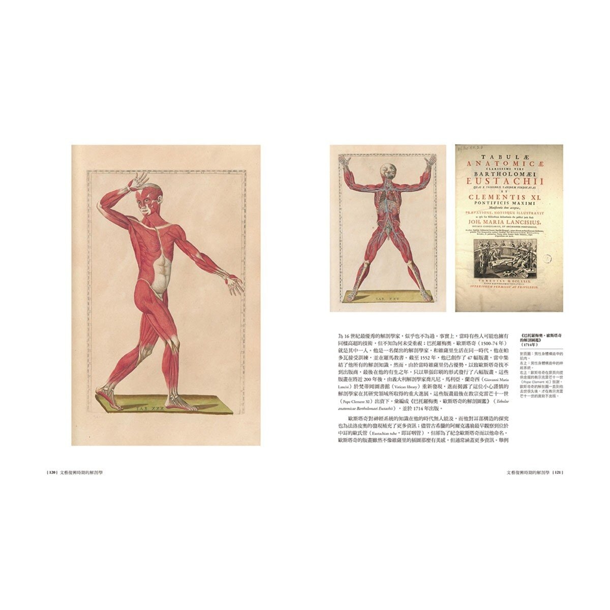 解剖之書:從古埃及到現代，300+史上重要的人體構造繪畫與醫療史