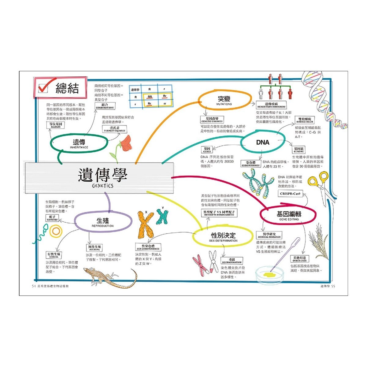 真希望基礎生物這樣教 + 真希望基礎人體這樣教 暢銷修訂版 (共二冊)