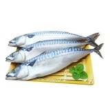 冷凍薄鹽白腹鯖魚 6公斤
