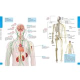 Galileo科學大圖鑑套書人體篇：人體大圖鑑 +肌肉大圖鑑 (共二冊)