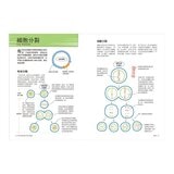 真希望基礎生物這樣教 + 真希望基礎人體這樣教 暢銷修訂版 (共二冊)