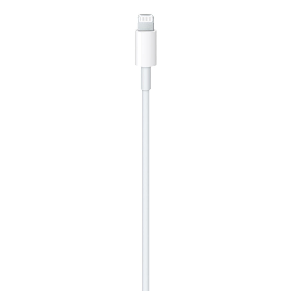 Apple USB-C 對 Lightning 連接線 2 公尺