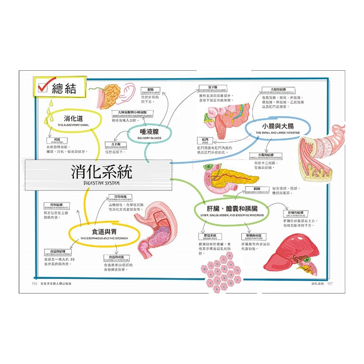 真希望基礎生物這樣教 + 真希望基礎人體這樣教 暢銷修訂版 (共二冊)