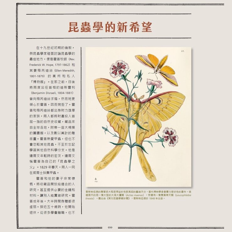蟲之道:昆蟲的構造、行為和習性訴說的生命史詩 蟲之道:昆蟲的構造、行為和習性訴說的生命史詩