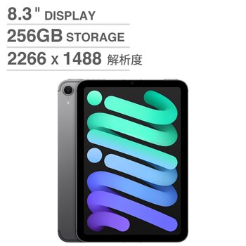 Apple iPad mini (第7代) Wi-Fi + 行動網路 256GB 太空灰