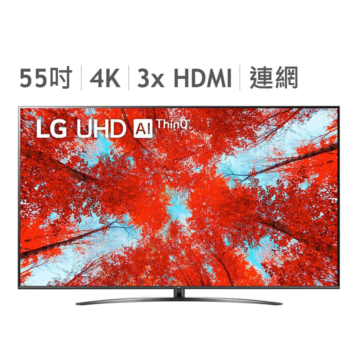 2021年製LG 55V型 4K内蔵 液晶テレビ 55NANO91JNA-