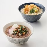 Minoyaki 日本製美濃燒麵碗 18公分 4件組