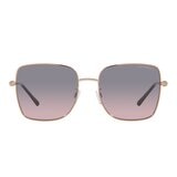 Emporio Armani 太陽眼鏡 EA2128D 301168 紫色