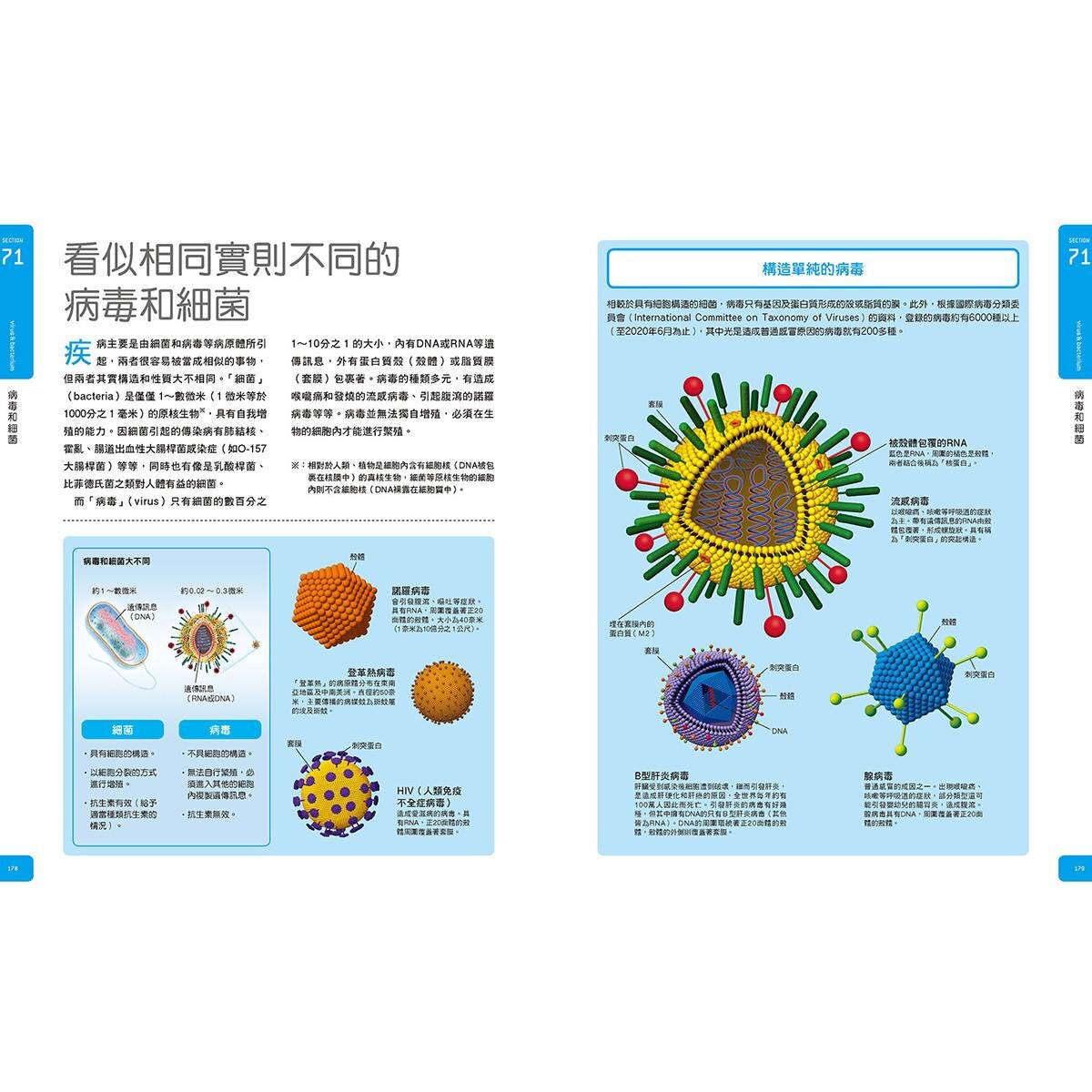 Galileo科學大圖鑑套書人體篇：人體大圖鑑 +肌肉大圖鑑 (共二冊)