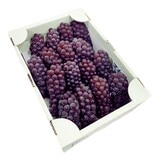 日本溫室小無籽葡萄禮盒 2公斤